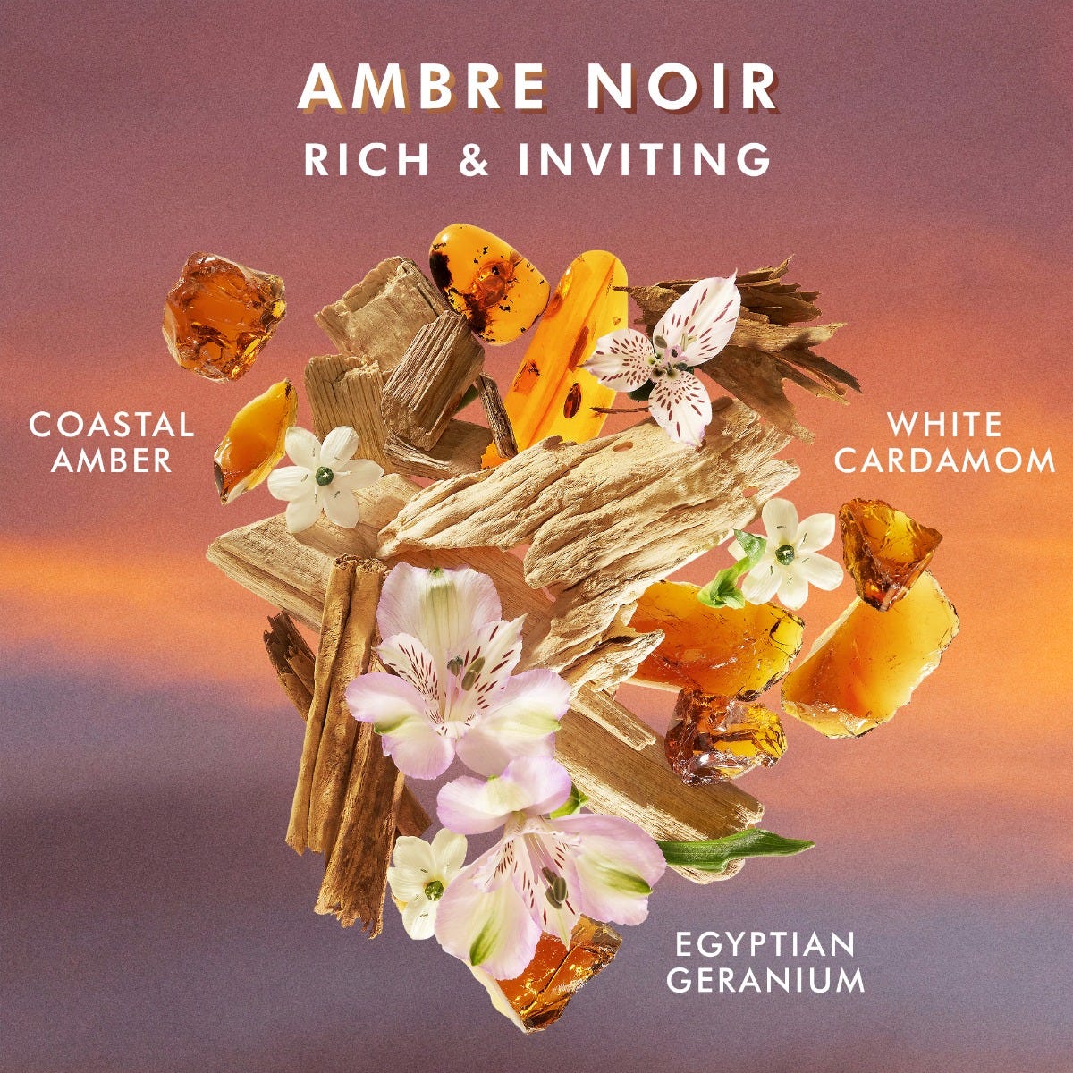 Nước rửa tay Ambre Noir
