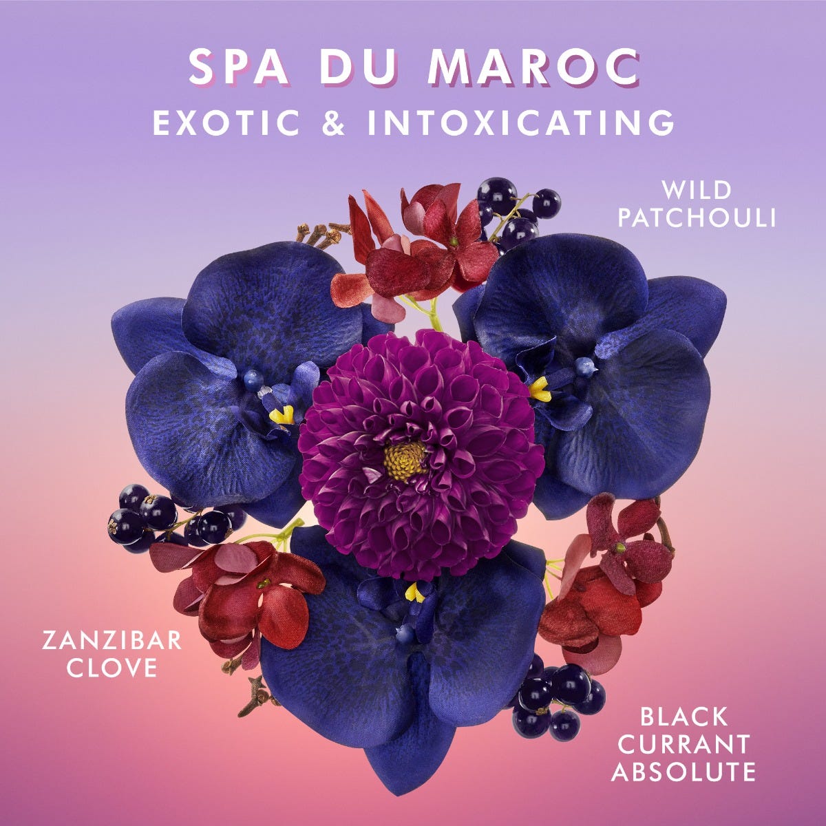Sữa dưỡng thể Spa Du Maroc