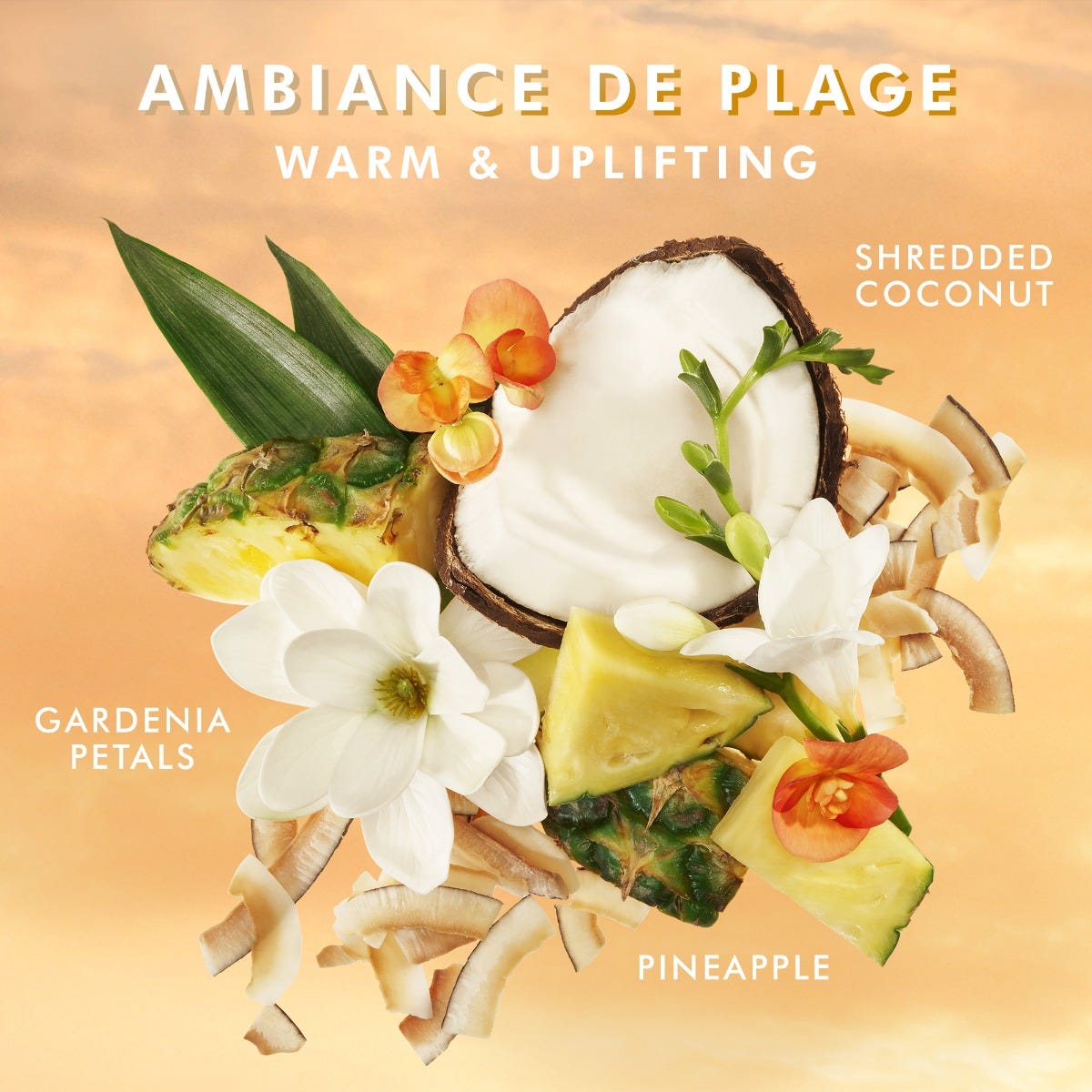 Nước rửa tay Ambiance De Plage