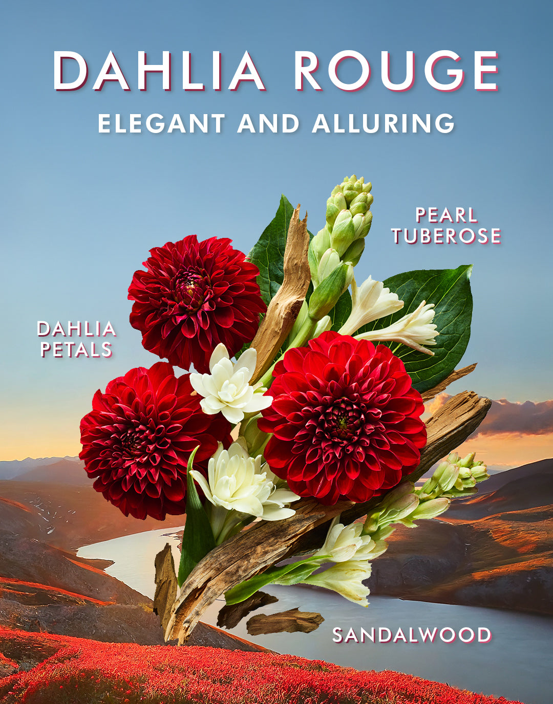 Sữa Dưỡng Thể Dahlia Rouge