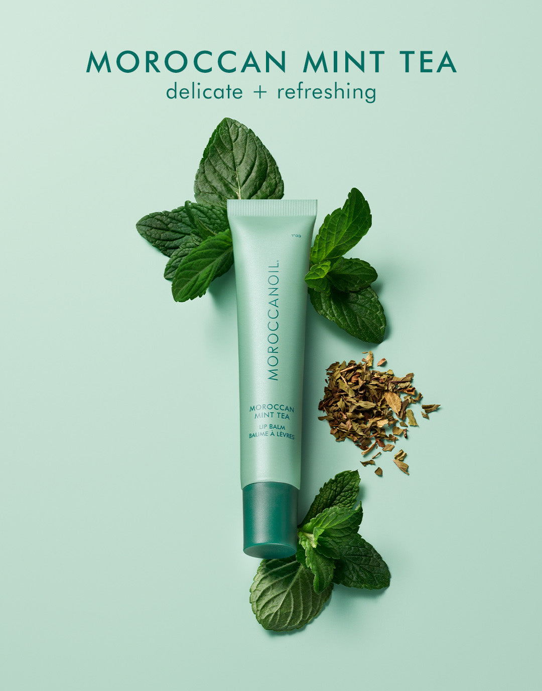 Son Dưỡng Môi - Moroccan Mint Tea