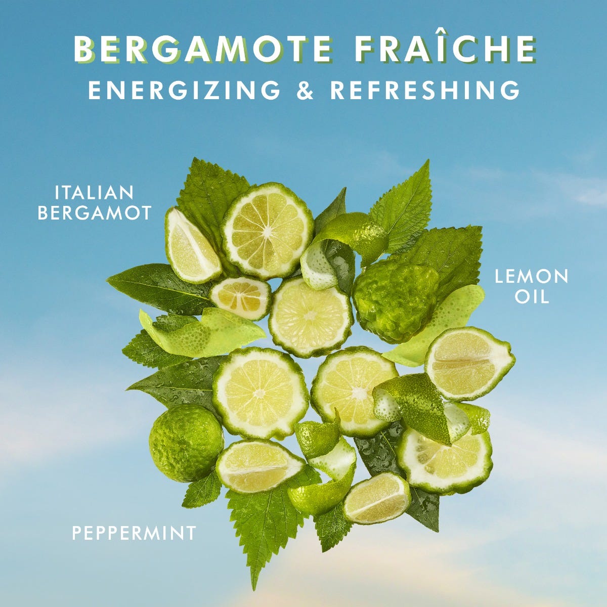 Sữa dưỡng thể Bergamote Fraîche